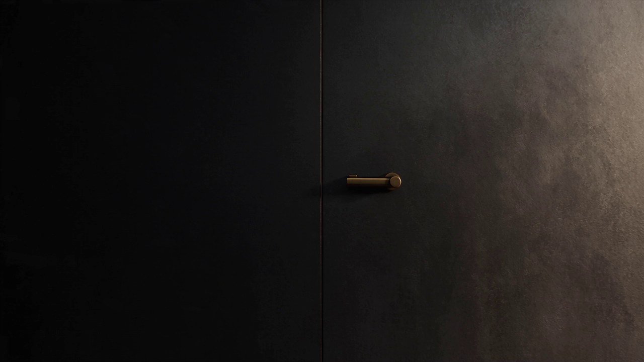 Luxury Monolithic Security Door